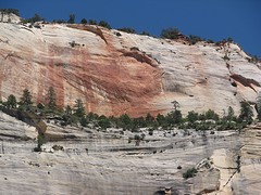 IMG_6417