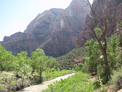 IMG_6414