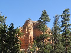 IMG_6383