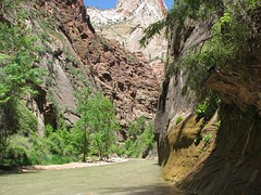 IMG_6388