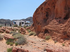 IMG_6429