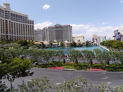 P1000959