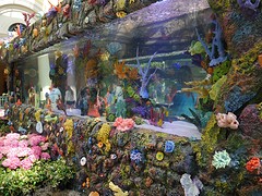 P1000973