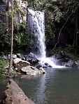 Curtis Falls.