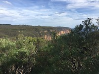 Blue Mountains