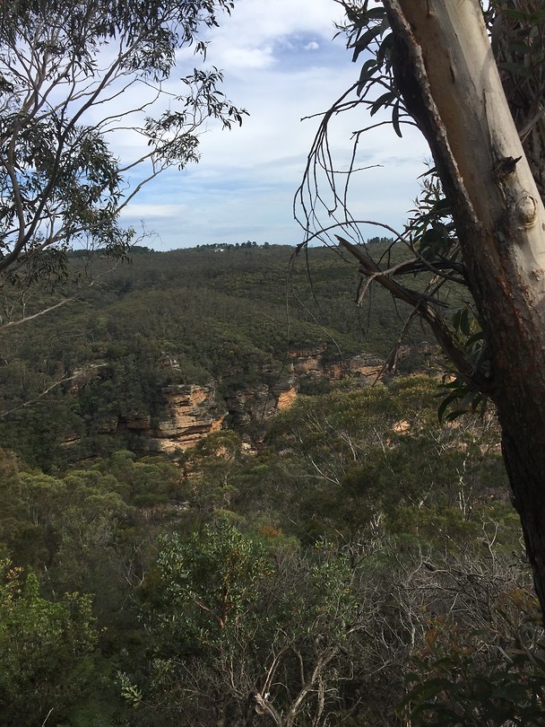 Blue Mountains