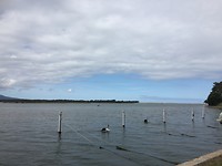 Zoutwatermeer