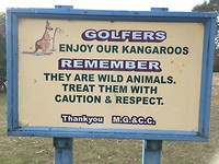 Golfbaan