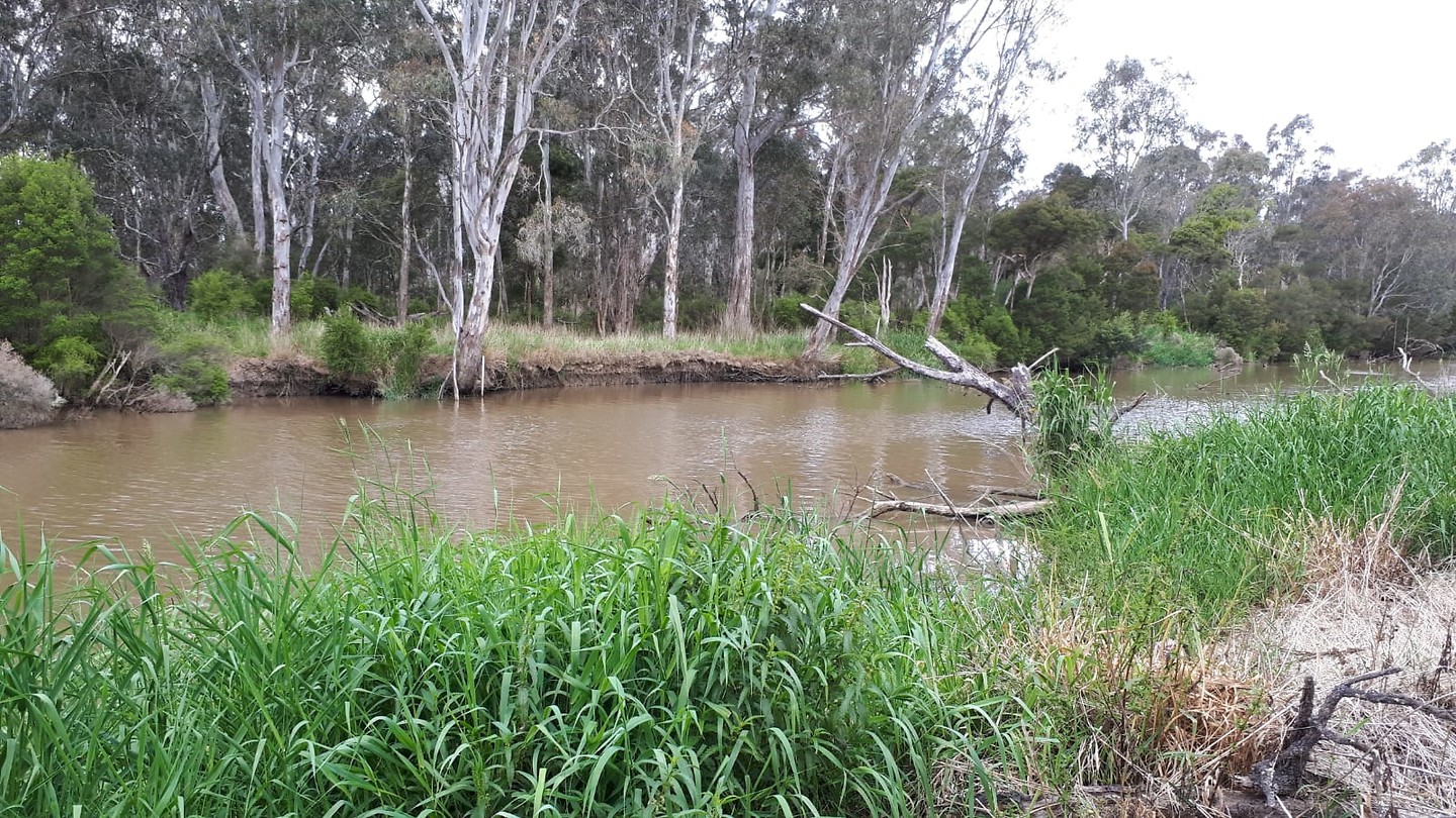 Rivier op het landgoed van “Peter”