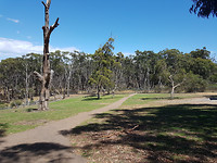 20170211_124751