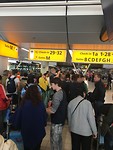 IMG_2242