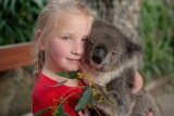 Lente en koala