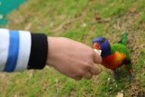 Ze eten uit je hand!