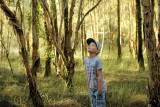 Splinter op zoek naar de koala\'s in een stukje natuur bij Port Macquarie