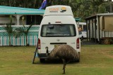 Op de camping in Yeppoon loopt zelfs een emu rond, die Splinter vanuit de camper bekijkt (met de deur dicht)