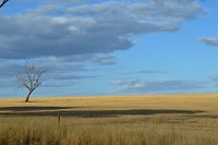 De plains