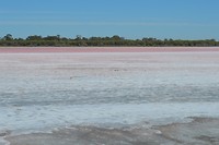 Pink Lake