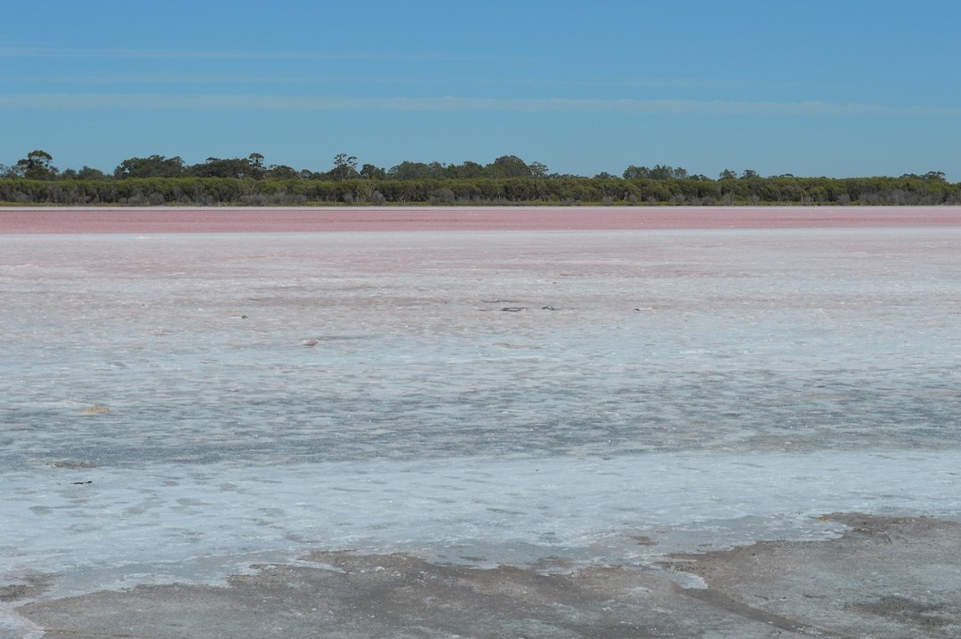 Pink Lake