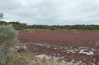 Goorong NP