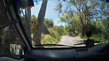 tocht door Adelaide Hills