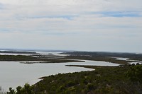 coffin bay