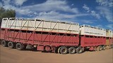Koeien road trains