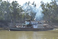 stoomboot bij Echuca