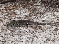 DSCF0046