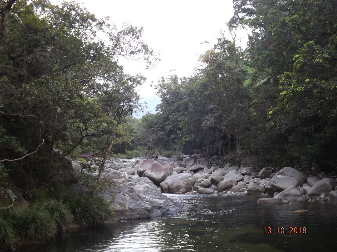 DSCF1436