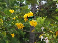 DSCF1460