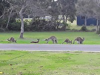 20181025_150014
