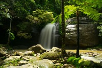 Prachtige watervallen bij Buderim NP