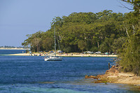 Nelson bay