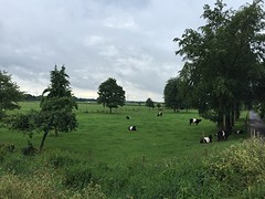 Nederlands landschap