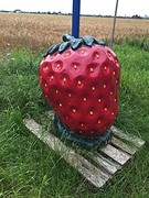 Een aardbei, een grote