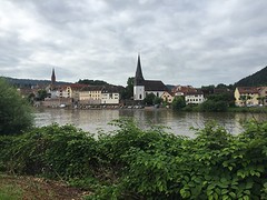 Langs de Neckar