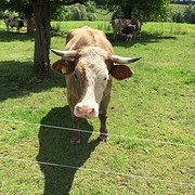Und wer bist du ?