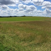 Boven op de heuvel
