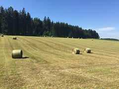 Bovenop de Alp