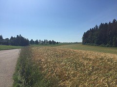 Boerenomgeving