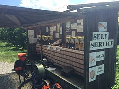 Verse appelsap