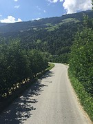 Tussen de bomen door