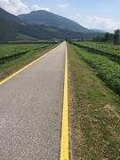 Just follow the yellow brick road