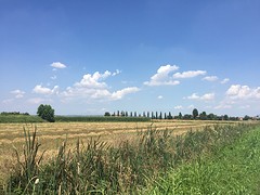 Vlakte bij de Po