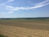 Weidse uitzichten