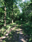en af en toe naar het wegdek zoeken