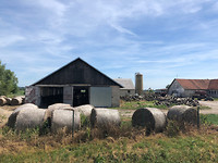 Een veehouderij