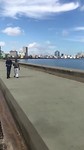 Over de Malecon de stad uit.