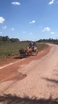 Het leven in slow motion