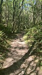 Beschut door het bos